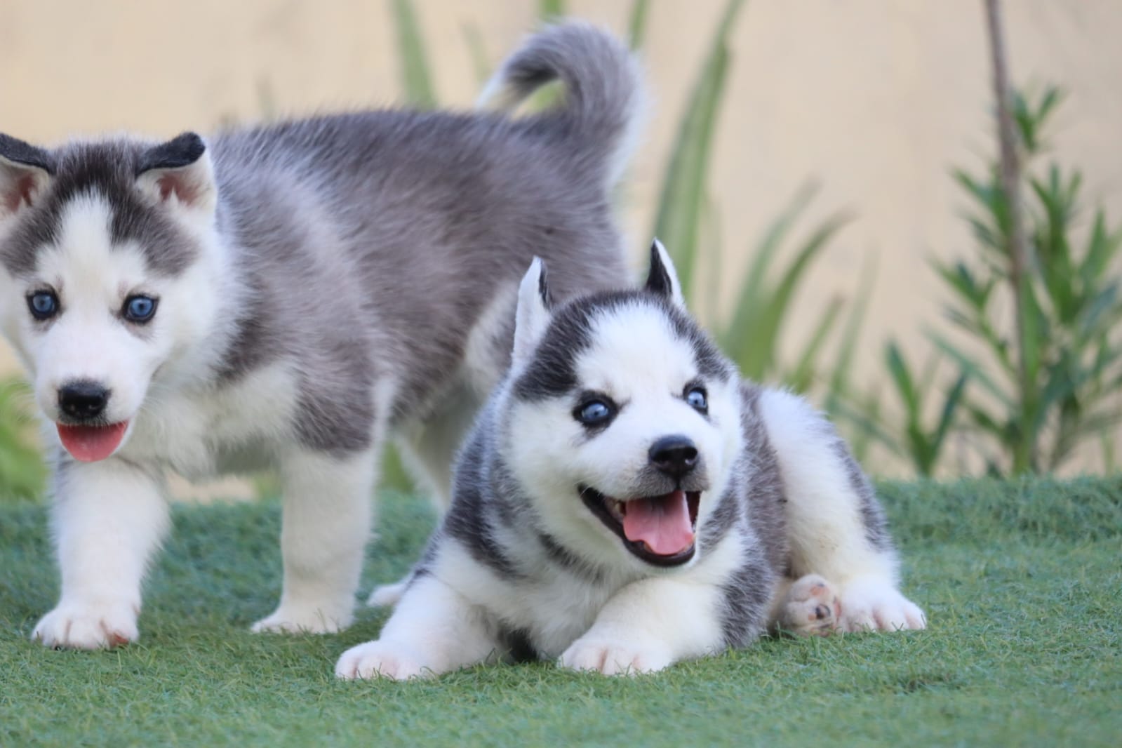 WhatsApp Image 2023-09-13 at 4.06.33 PM