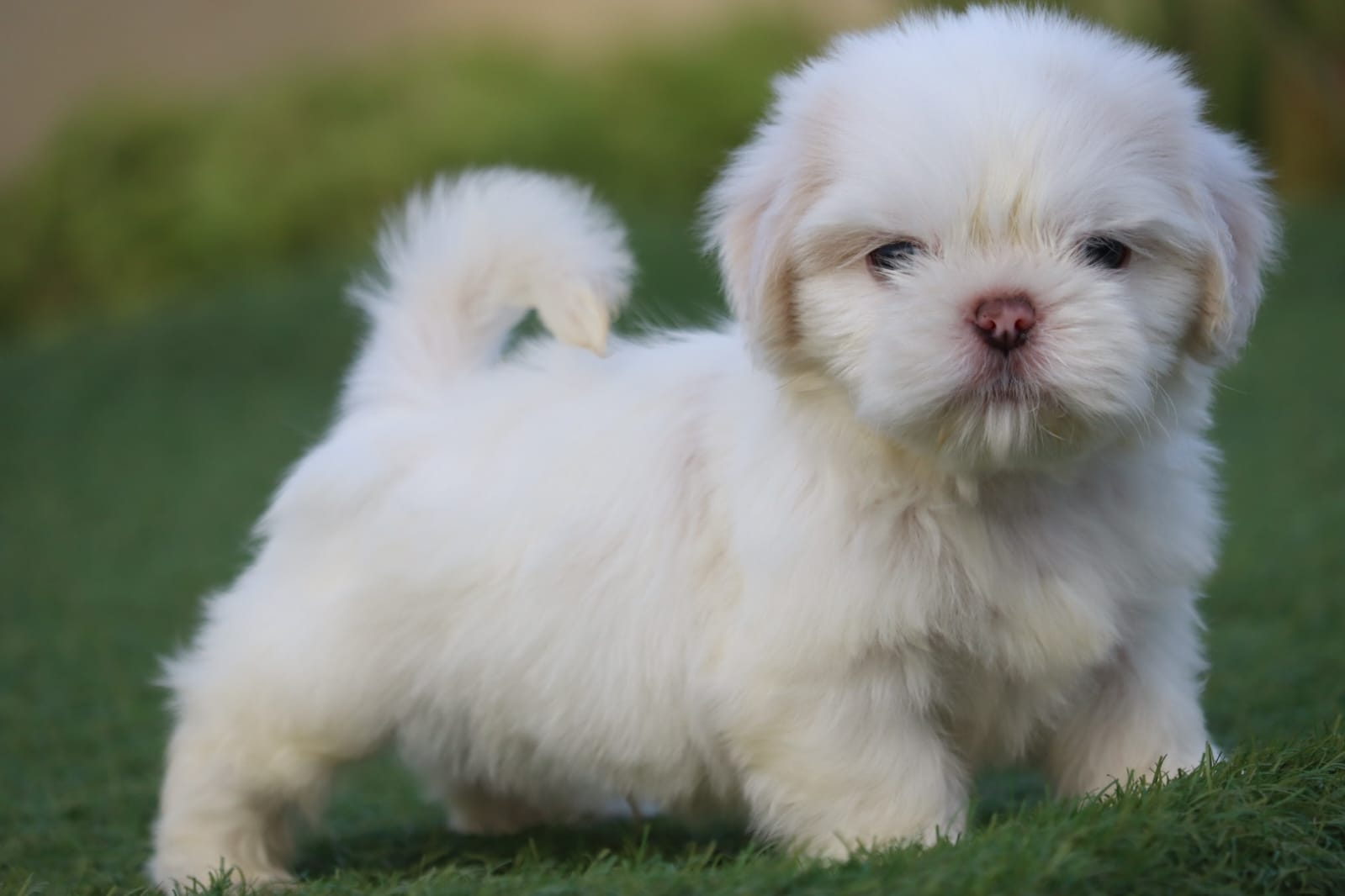 WhatsApp Image 2023-09-13 at 4.06.53 PM