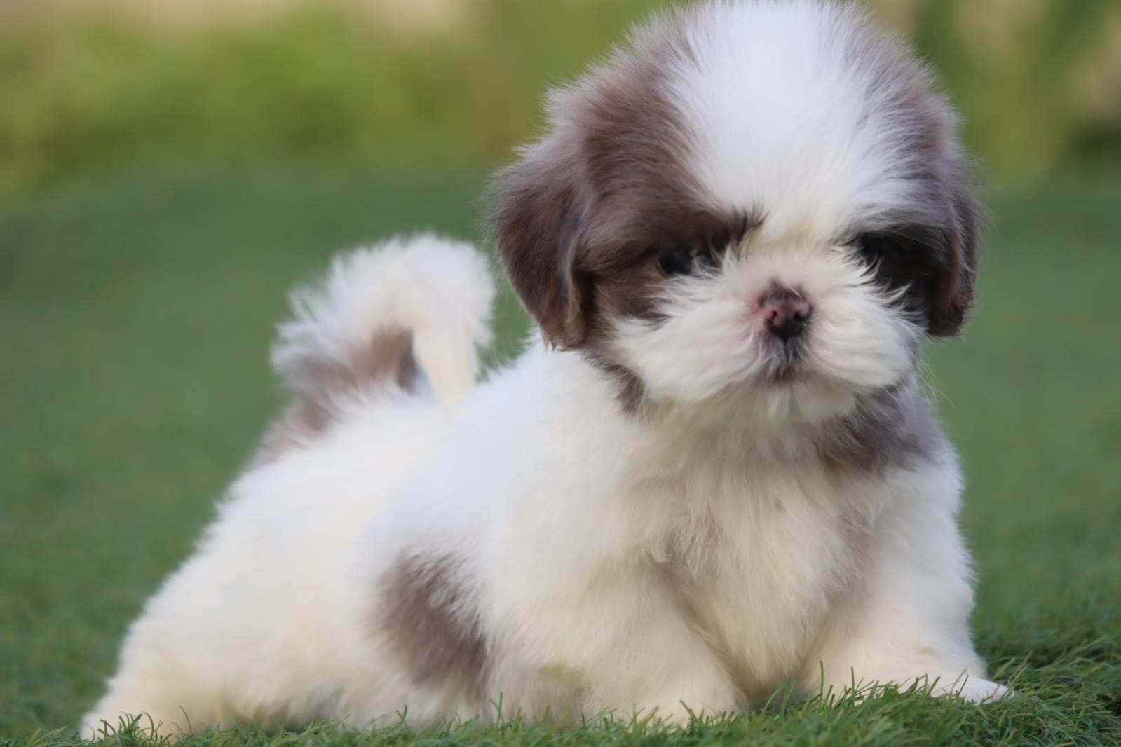 WhatsApp Image 2023-09-13 at 4.06.54 PM