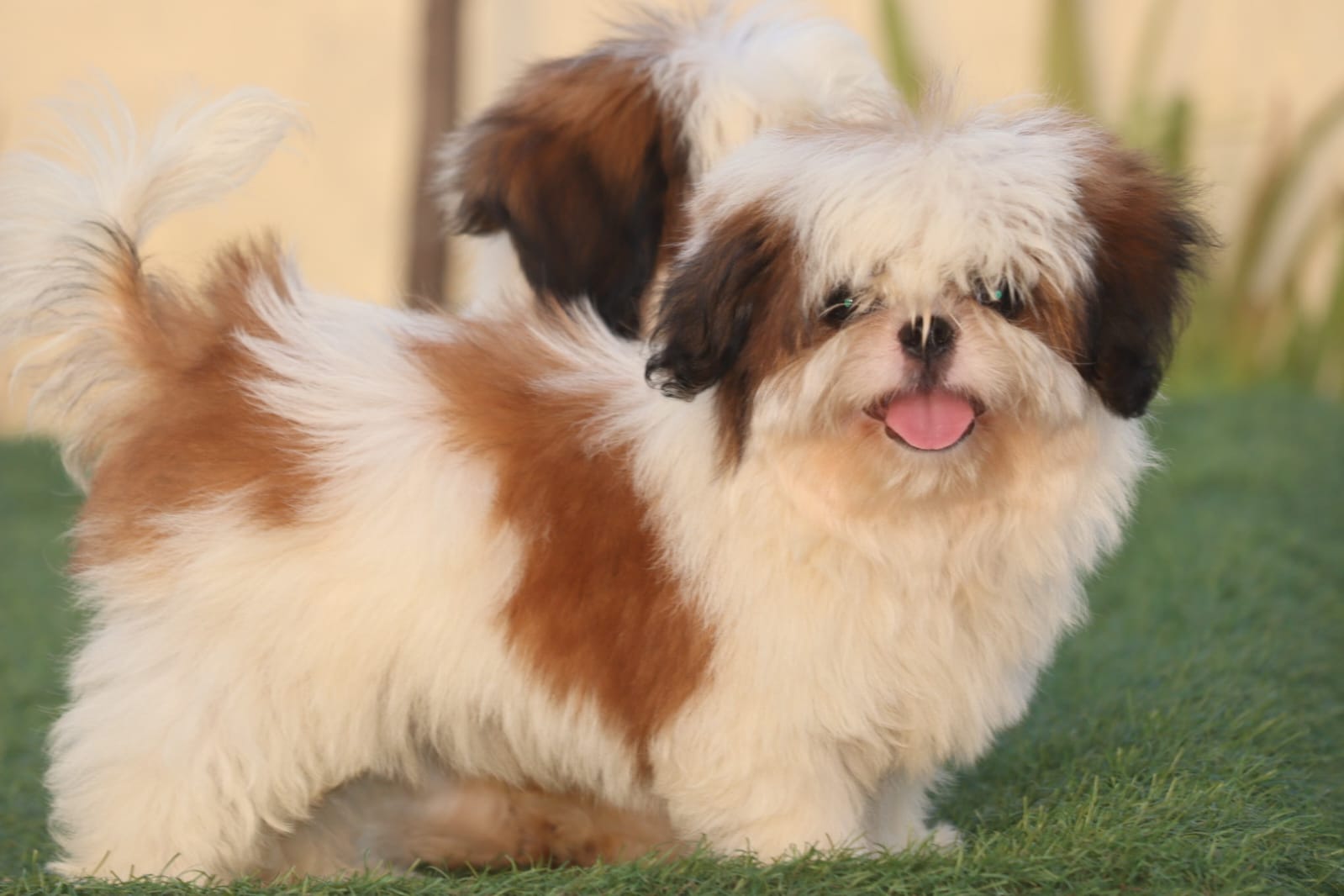 WhatsApp Image 2023-09-13 at 4.07.00 PM