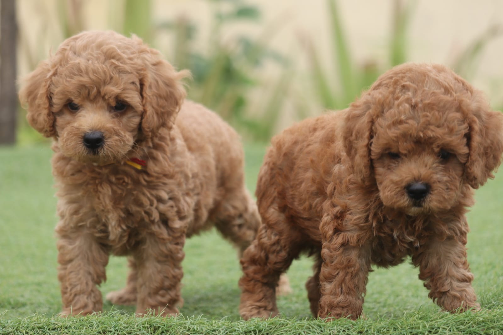 WhatsApp Image 2023-09-13 at 4.07.02 PM