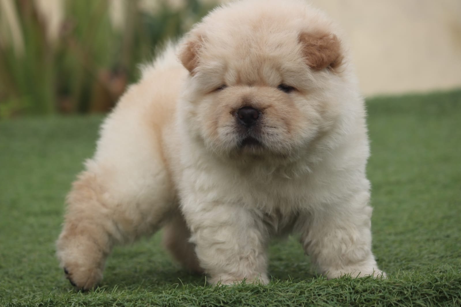 WhatsApp Image 2023-09-13 at 4.07.06 PM