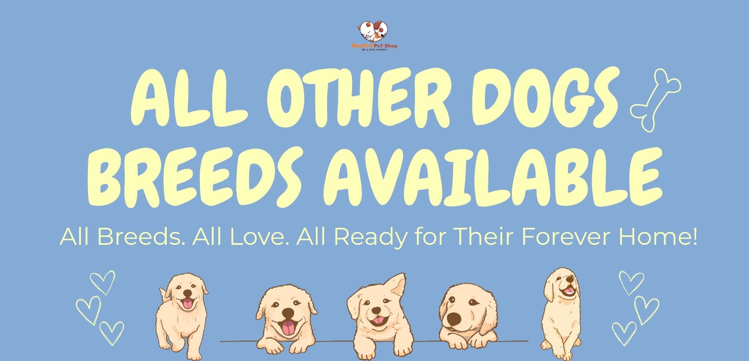 Best Puppies For Sale In Kochi